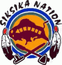 a logo for the siska nation with a buffalo in the center