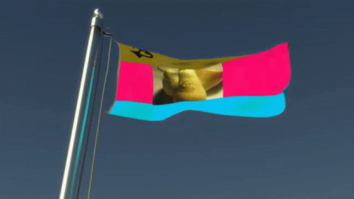 Bayrak Flag GIF - Bayrak Flag Armudistan GIFs