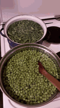 Making Lunch Green Beans GIF - Making Lunch Green Beans Green Peas GIFs