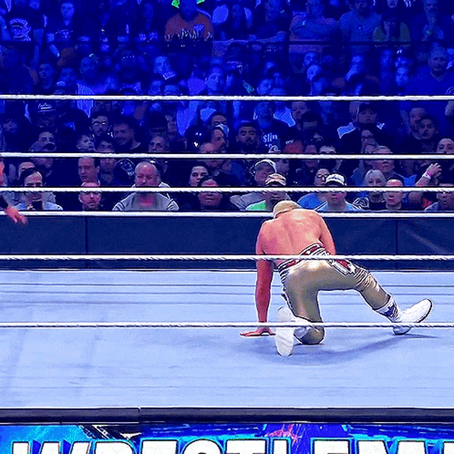 a wrestler is kneeling down in the ring with a crowd behind him and a sign that says tnt