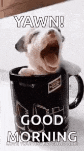 a puppy is yawning in a coffee mug and saying good morning .
