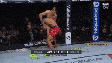 a ufc fight between morales and rosas jr.