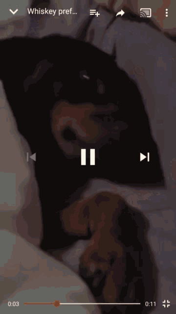 Trying To Sleep Bedtime GIF - Trying To Sleep Bedtime Dog GIFs
