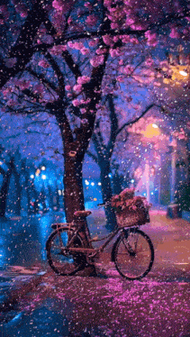a bicycle with a basket of flowers is parked under a cherry blossom tree
