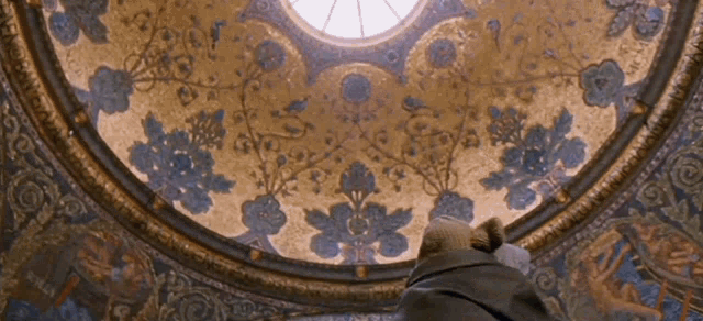 a person looking up at a dome with a floral pattern