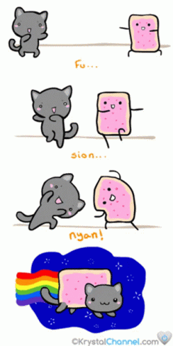 Nyan Cat Fusion GIF - Nyan Cat Fusion GIFs