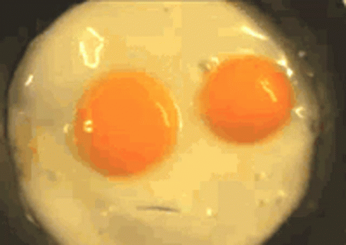 Fried Eggs Talking GIF - Fried Eggs Talking Huevos GIFs