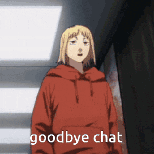 a cartoon character in a red hoodie is saying goodbye chat