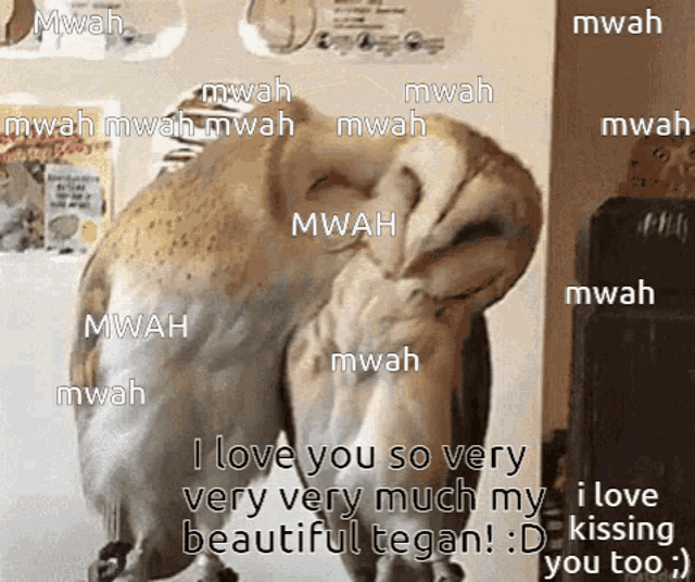 Tegan Kisses GIF - Tegan Kisses Love GIFs