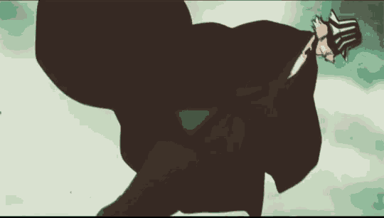 a person in a black cape is standing in the wind .