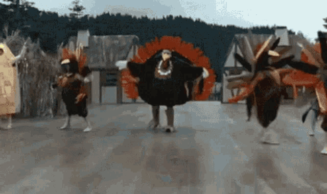 a group of people dressed as turkeys are dancing in a street .