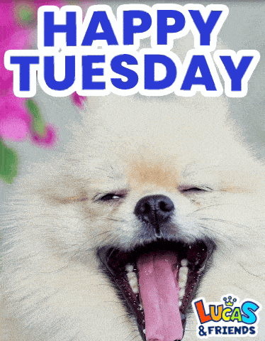 a picture of a dog with its tongue hanging out and the caption happy tuesday