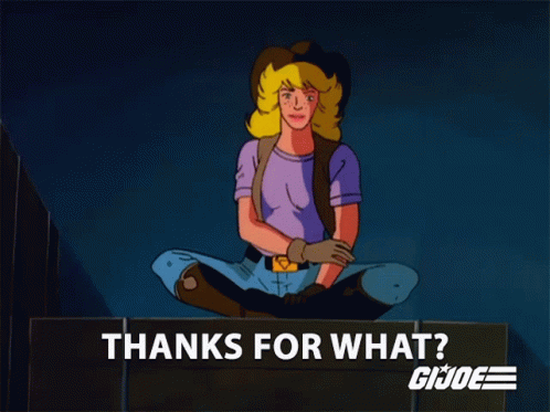 Thanks For What Honda Lou West GIF - Thanks For What Honda Lou West Sally Julian GIFs