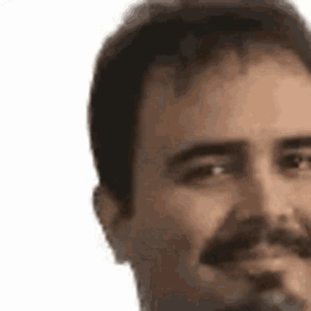 a close up of a man 's face with a mustache and a beard .