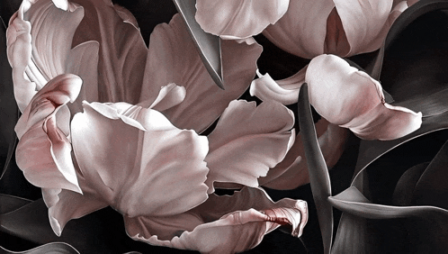 a close up of a pink flower with black leaves on a black background