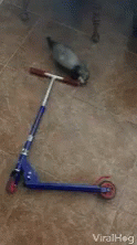 Gimme That Taking Scooter GIF - Gimme That Taking Scooter Steal GIFs