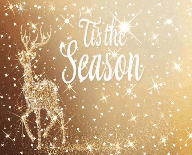 a greeting card with a deer and the words " tis the season "