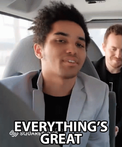 Everythings Great Everythings Fine GIF - Everythings Great Everythings Fine Perfect GIFs