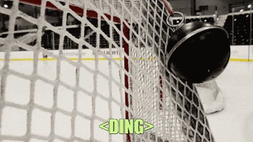 a hockey puck is stuck in a net with the word ding written below it