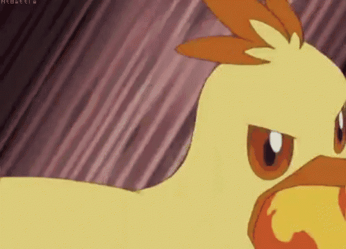 Combusken Fire Spin GIF