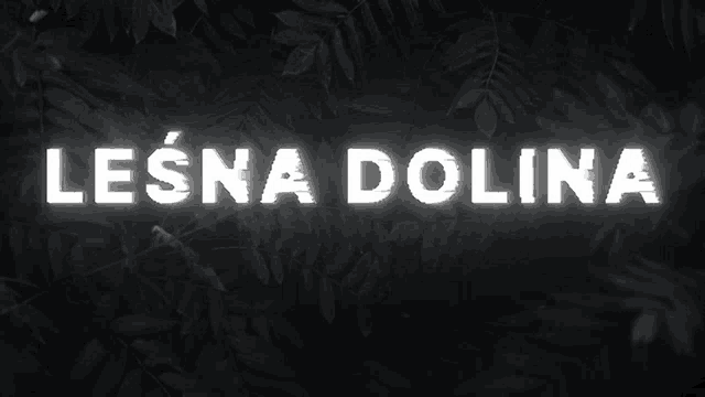 a black background with the words lesna dolina written in white