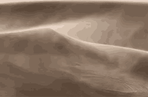 a close up of a sand dune with sand blowing in the wind .