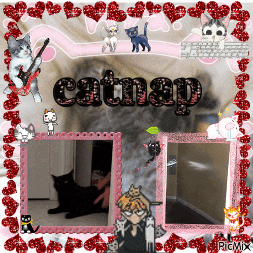 a collage of cats and the word catnap