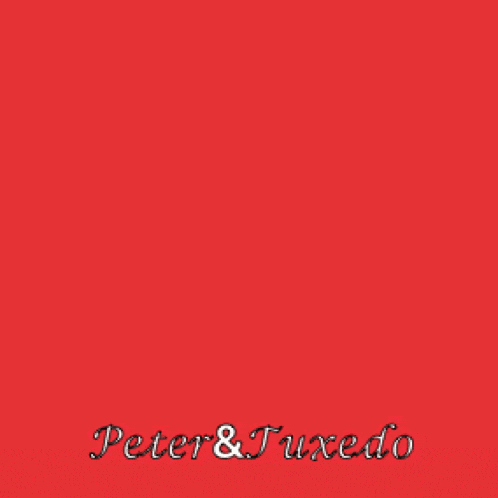 a happy valentine 's day greeting card for peter and tuxedo