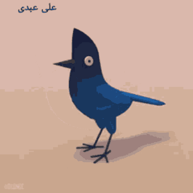 a blue bird with a black head and a white eye