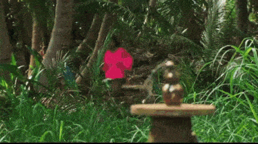 two women are running through a lush green forest
