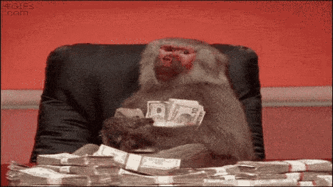 Baboon Monkey GIF - Baboon Monkey Money GIFs
