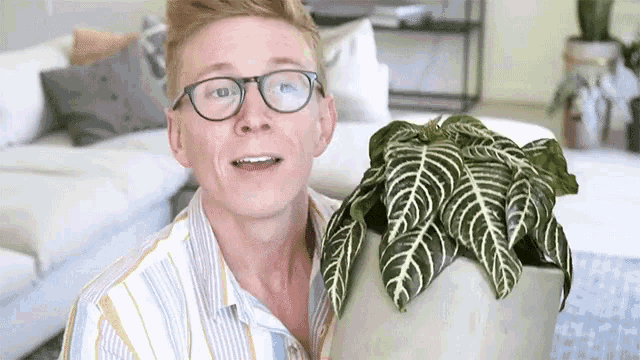 a man wearing glasses holds a potted plant in his hand