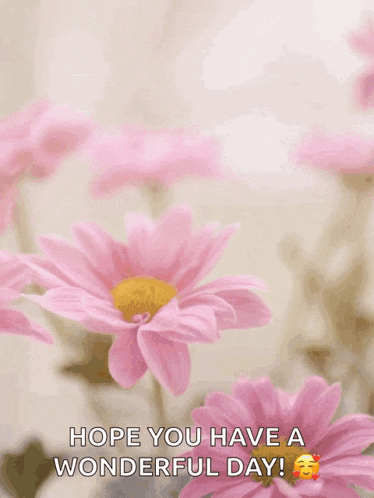 a happy mother 's day card with pink daisies