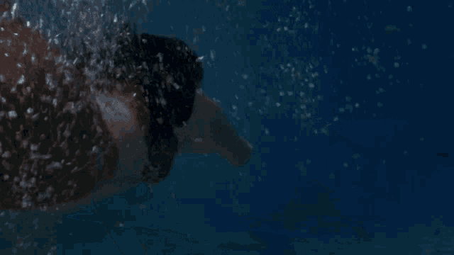 a woman in a black bikini is swimming in the ocean