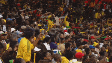 a crowd of people are raising their hands in the air in a stadium