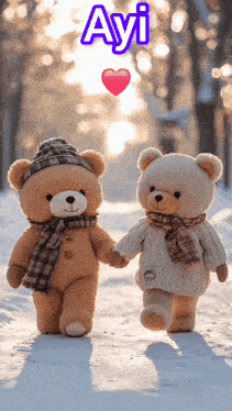 two teddy bears holding hands in the snow with the word ayi above them