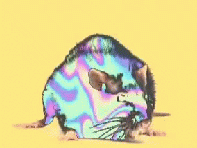 Astralrat Yes GIF - Astralrat Yes Thesite GIFs