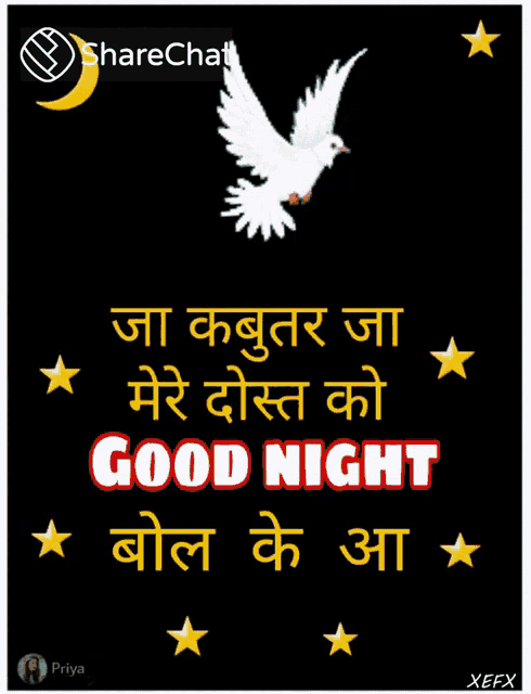 a picture of a white dove with the words good night in red