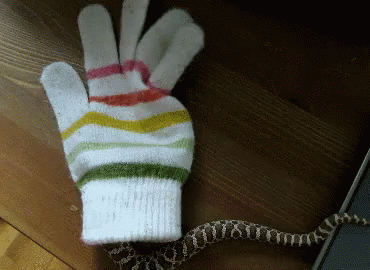 Hello From A Lil Snakey GIF - Snake Hello Glove GIFs