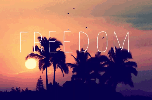 the word freedom is on a sunset background