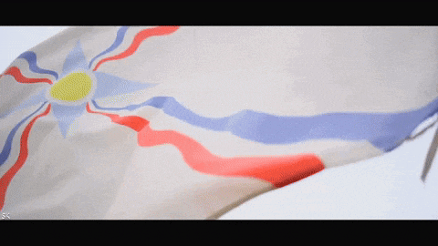a close up of a flag with red white and blue stripes on it