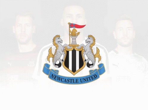 Newcastle Newcastle United GIF - Newcastle Newcastle United GIFs