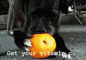 Get Your Vitamin C GIF - Vitamin C Get Your Vitamin C Orange GIFs