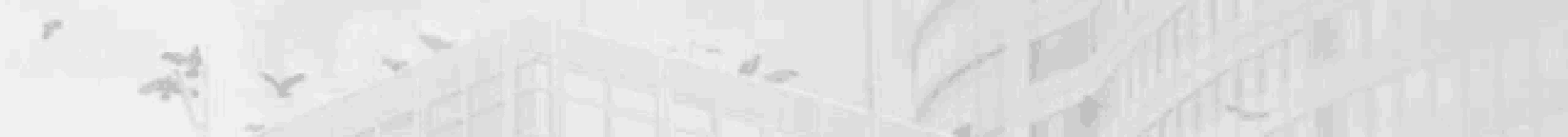 a white background with a gray gradient and a gray texture