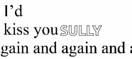 i 'd kiss you sully again and again and again