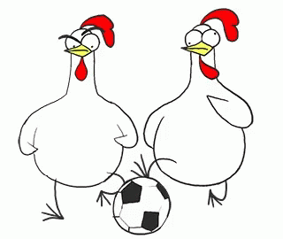Chicken Chicken Bro GIF - Chicken Chicken Bro Football GIFs