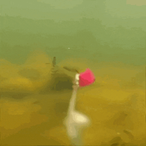 a person is swimming in the water with a yellow triangle on the bottom right