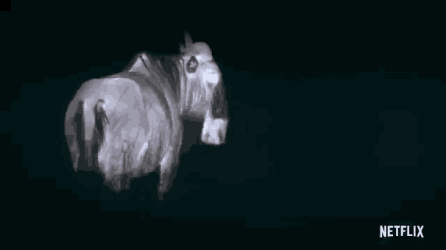 a bull is standing in the dark with a netflix logo in the lower right corner .
