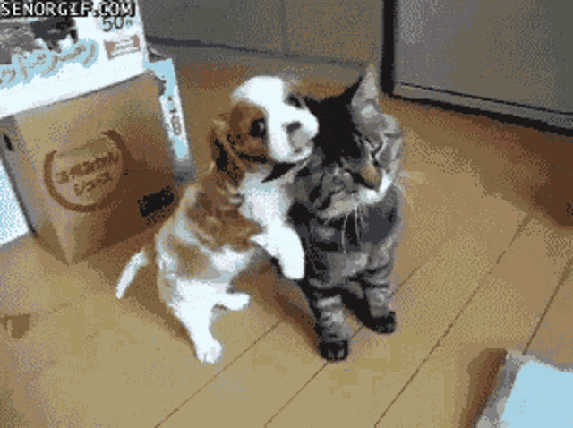 Dog And Cat Cute Baby GIF - Dog And Cat Cute Baby Hugs GIFs