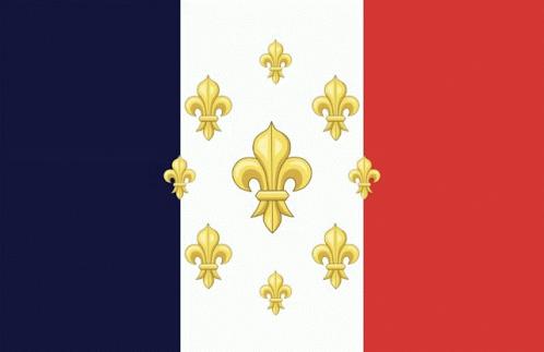 Almost France Gallikis GIF
